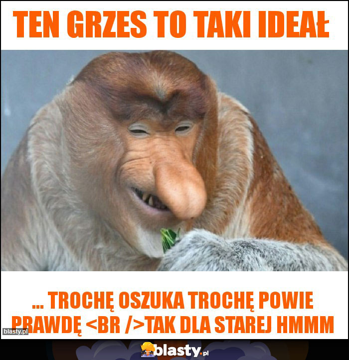 Ten Grzes to taki ideał