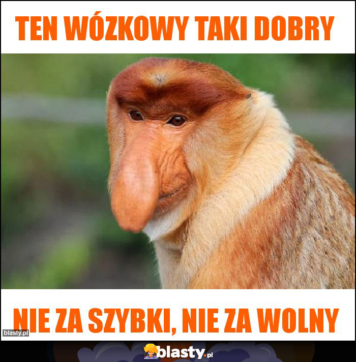 Ten wózkowy taki dobry