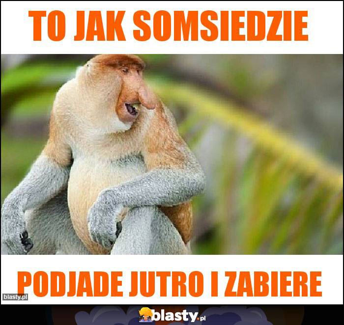 To jak somsiedzie