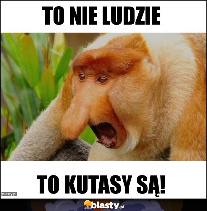 To nie ludzie