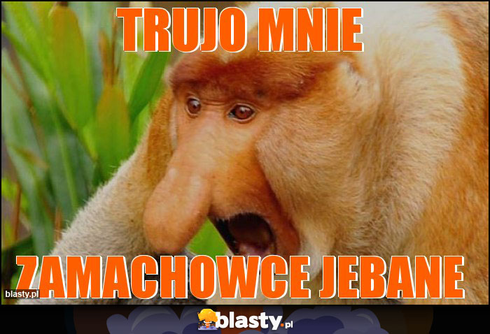 Trujo mnie