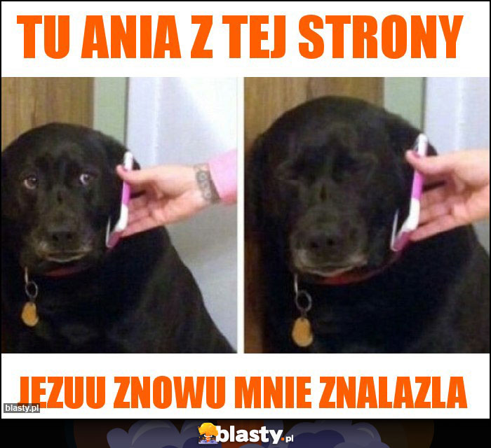 Tu Ania z tej strony