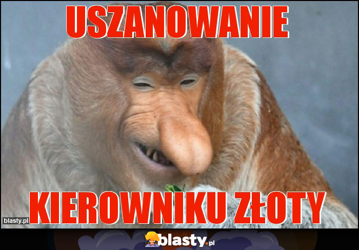 uszanowanie