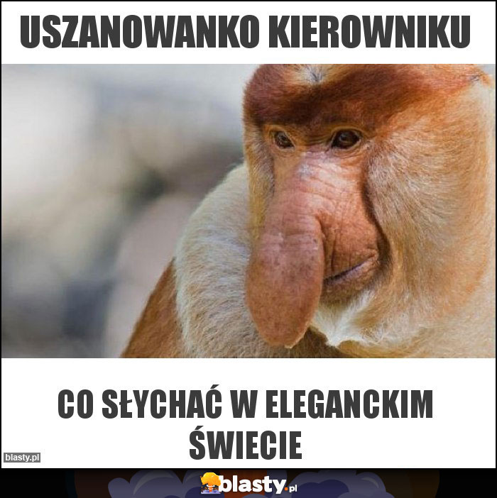 Uszanowanko kierowniku