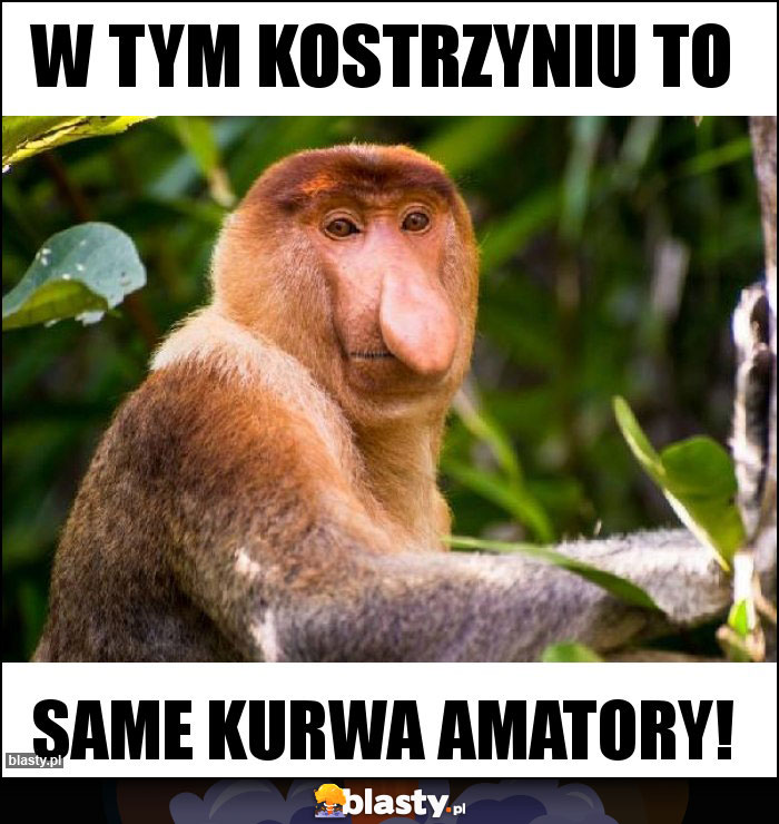 W tym Kostrzyniu to