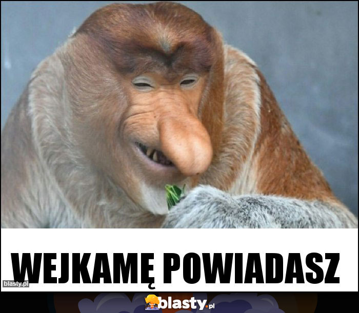 Wejkamę powiadasz