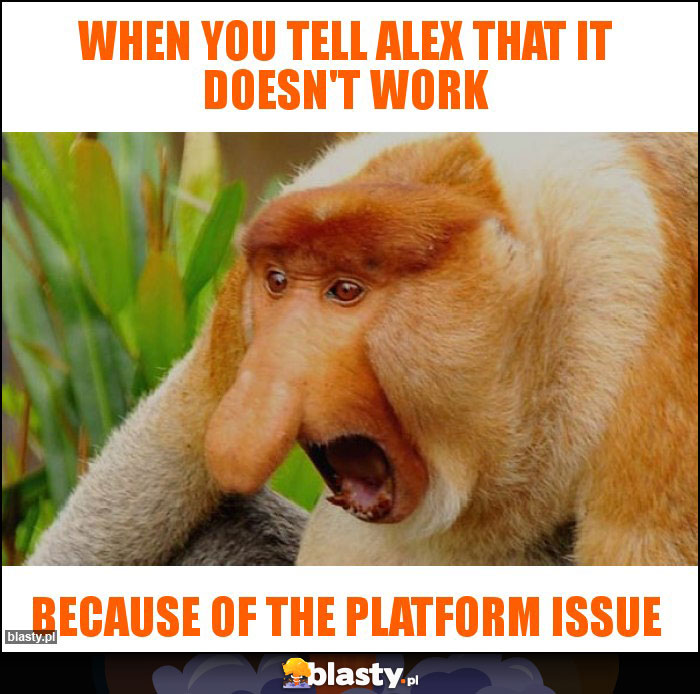 When you tell Alex that it doesn't work