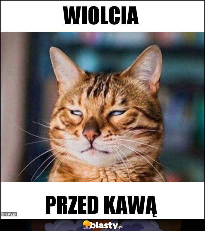 Wiolcia