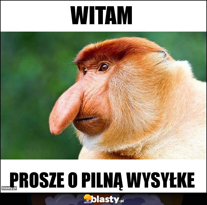 WITAM