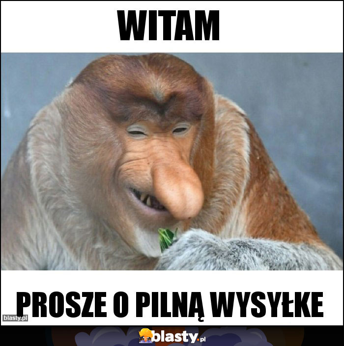 WITAM