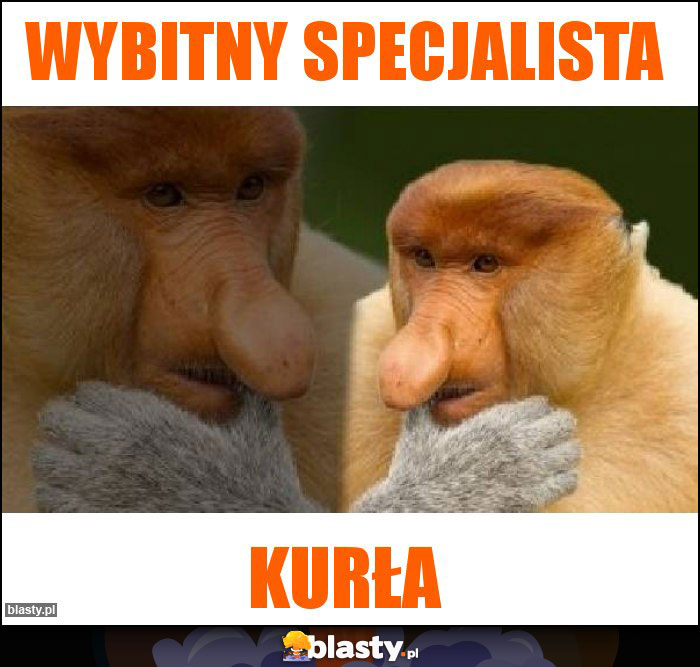 wybitny specjalista