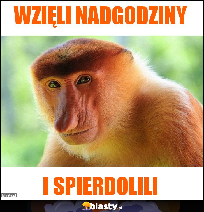 Wzięli nadgodziny