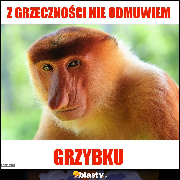 Z grzeczności nie odmuwiem