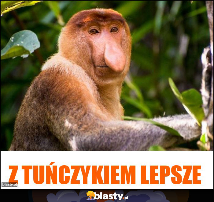 Z tuńczykiem lepsze