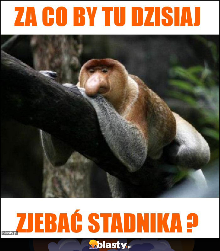 ZA CO BY TU DZISIAJ