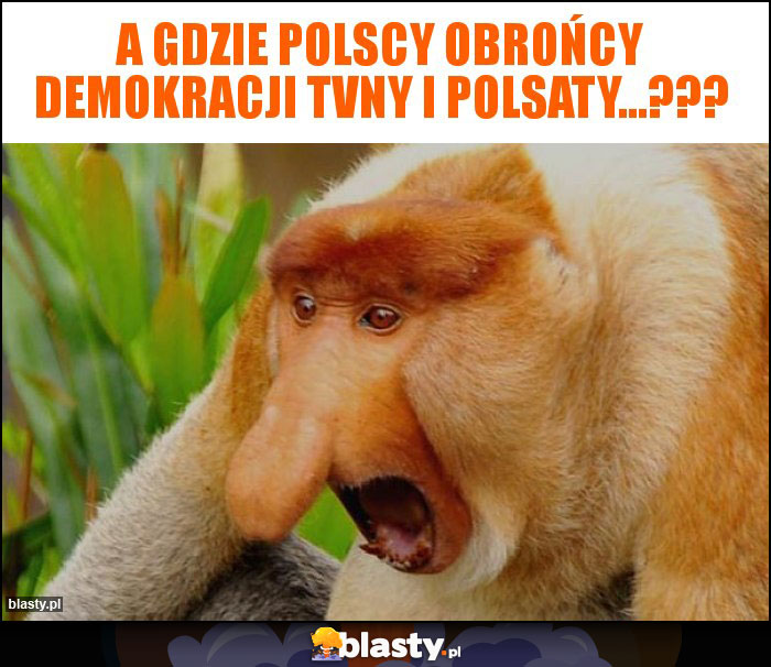 A gdzie polscy obrońcy demokracji tvny i polsaty...???