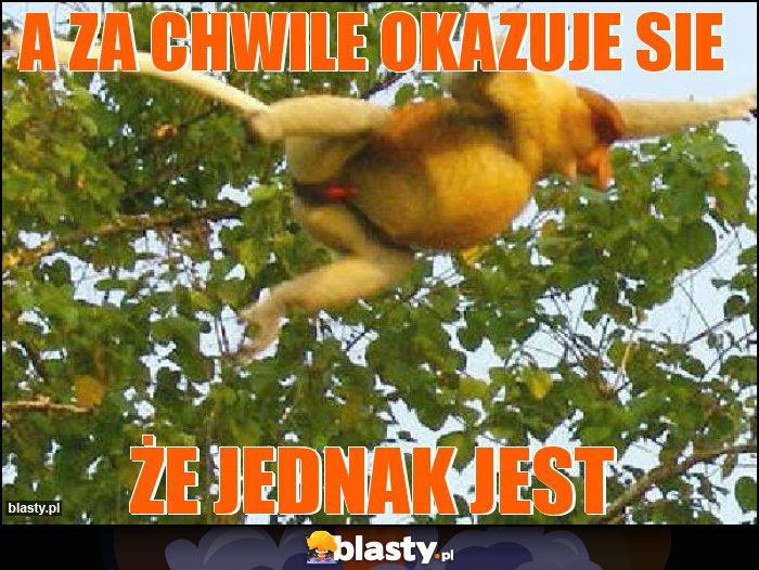 a za chwile okazuje sie