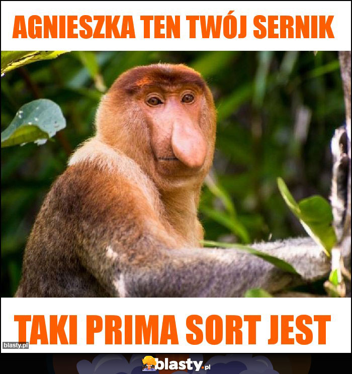 Agnieszka ten twój sernik