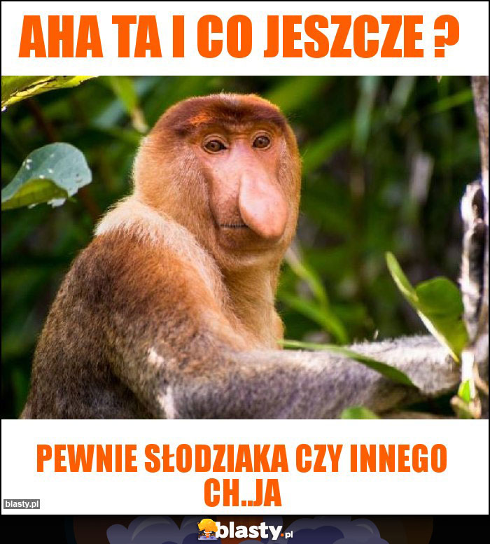 aha ta i co jeszcze ?