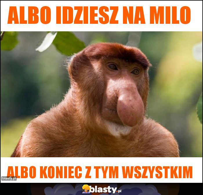 Albo idziesz na milo