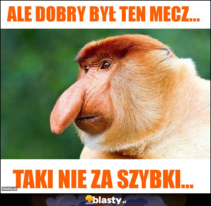 Ale Dobry był ten mecz...