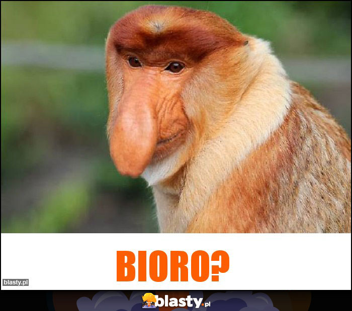 BIORO?