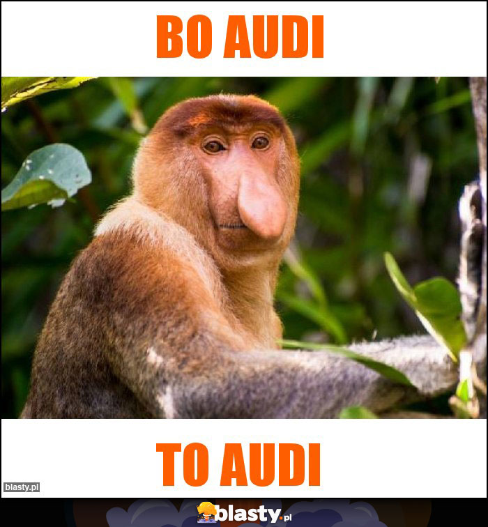 Bo Audi