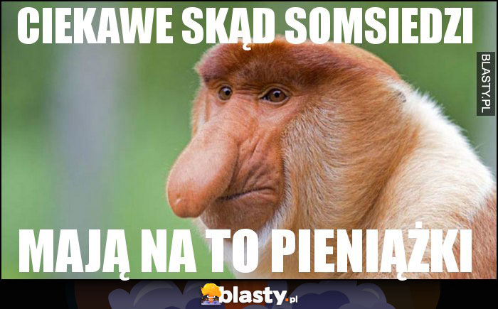 CIEKAWE SKĄD SOMSIEDZI