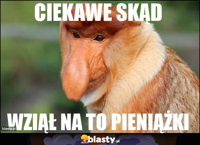 Ciekawe skąd