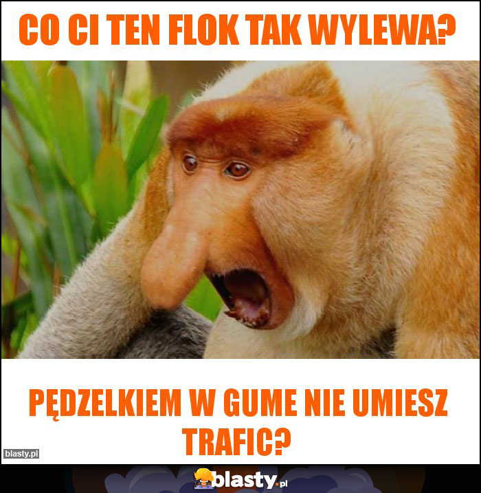 Co ci ten flok tak wylewa?