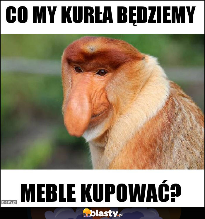 CO MY KURŁA BĘDZIEMY