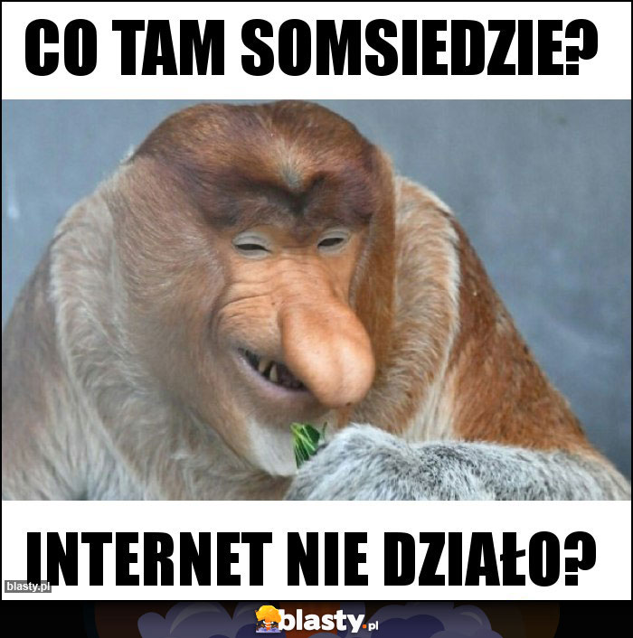 Co tam somsiedzie?