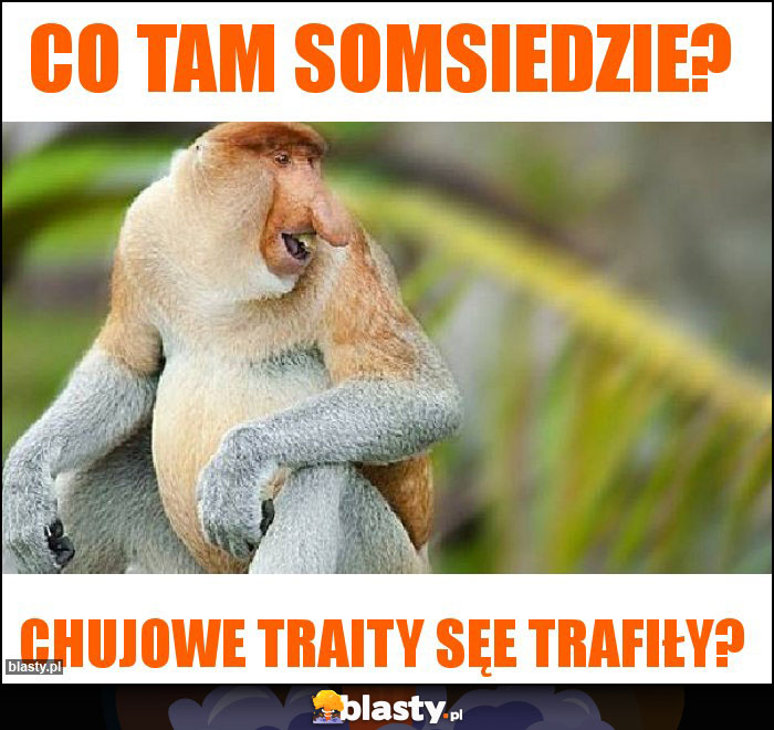 Co tam somsiedzie?