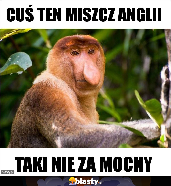 Cuś ten Miszcz Anglii