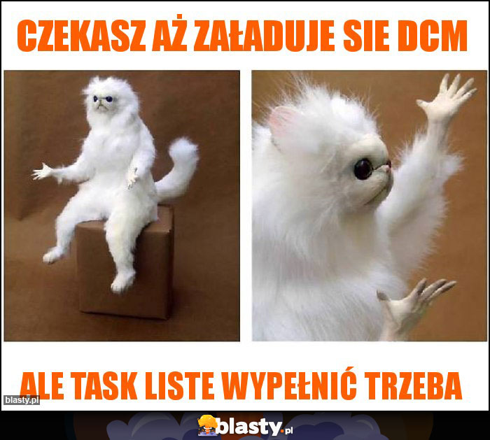 czekasz aż załaduje sie DCM