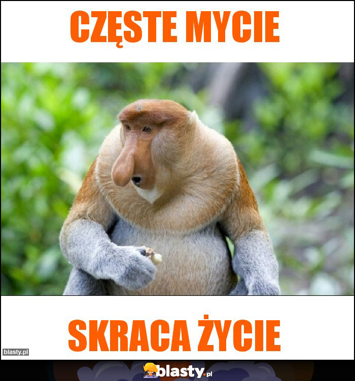 Częste mycie