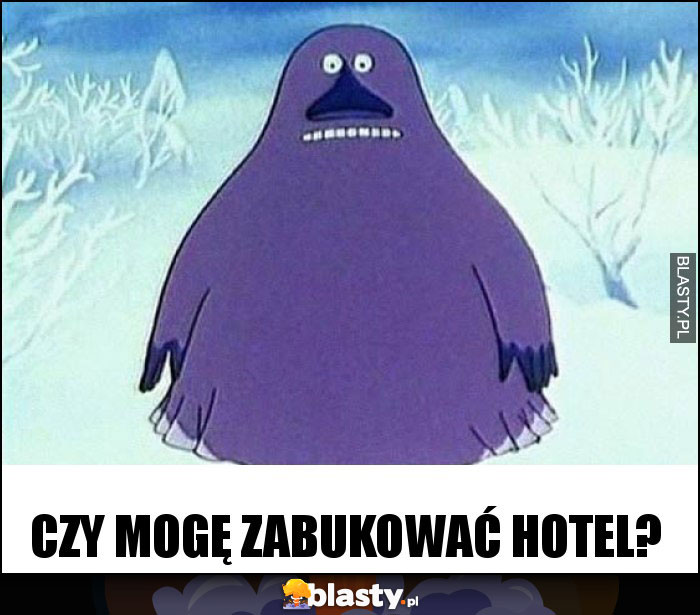 czy mogę zabukować hotel?