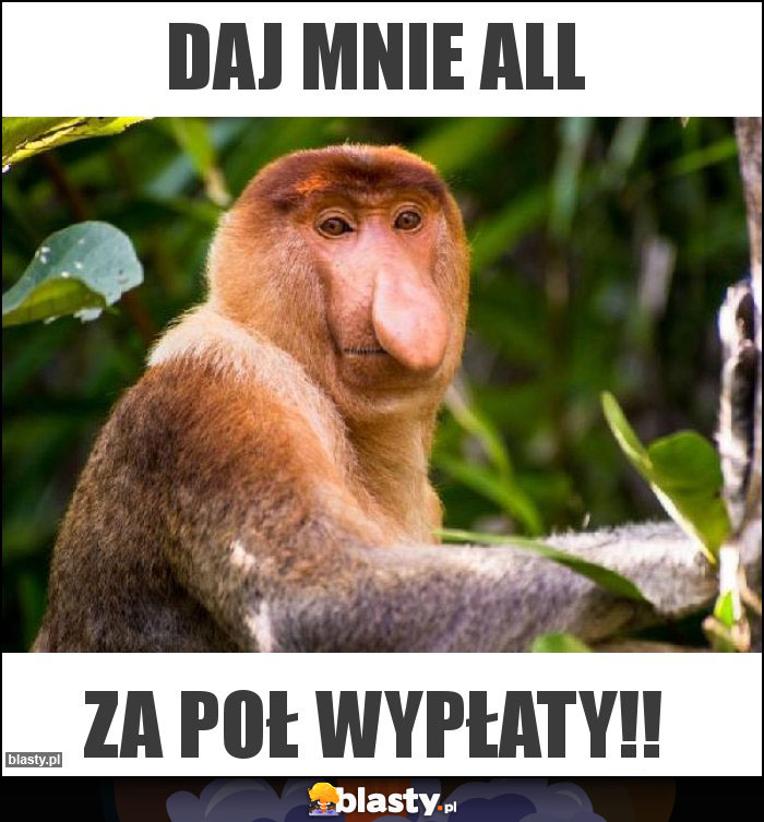 Daj mnie all