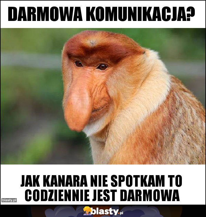 DARMOWA KOMUNIKACJA?