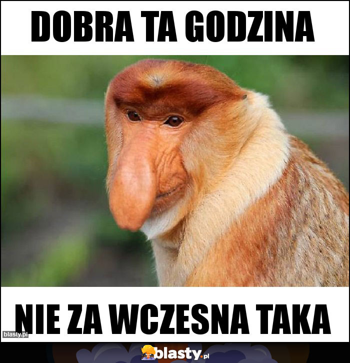 Dobra ta godzina