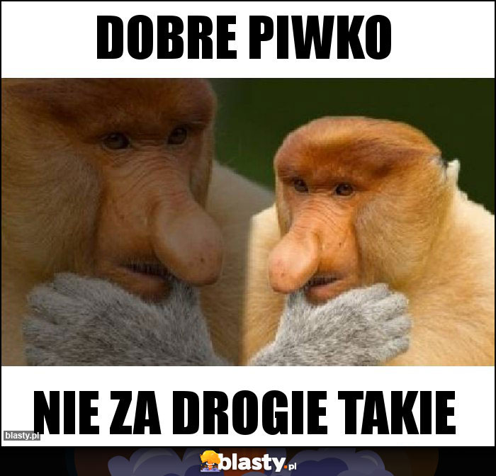 Dobre piwko