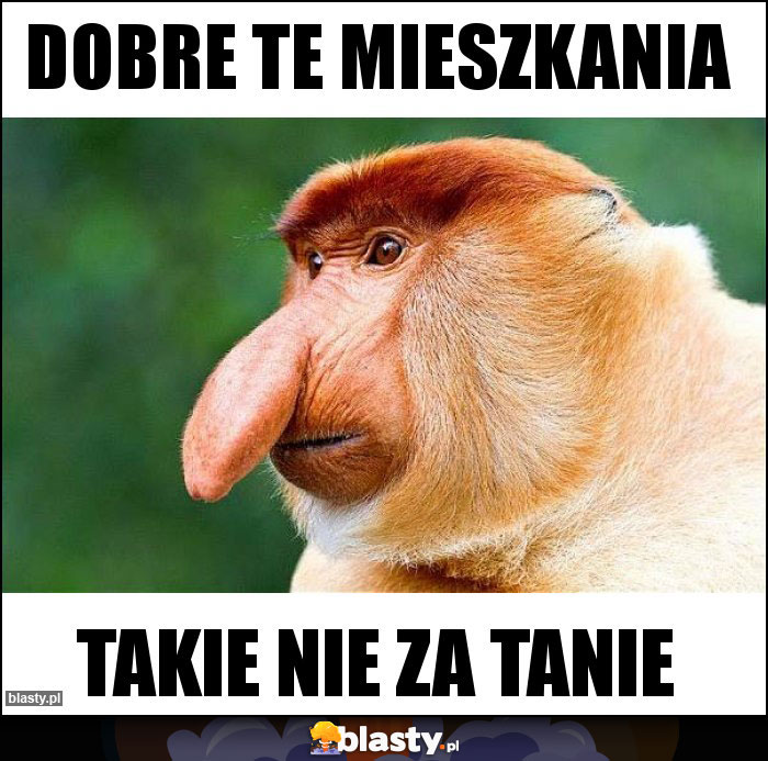 Dobre te mieszkania