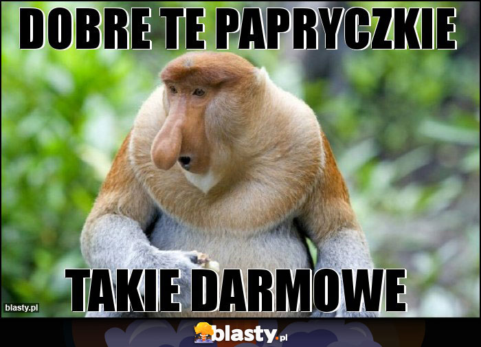 DOBRE TE PAPRYCZKIE