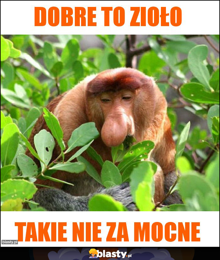 Dobre to zioło