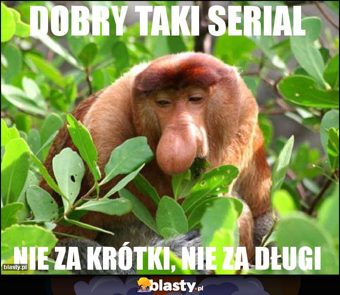 Dobry taki serial