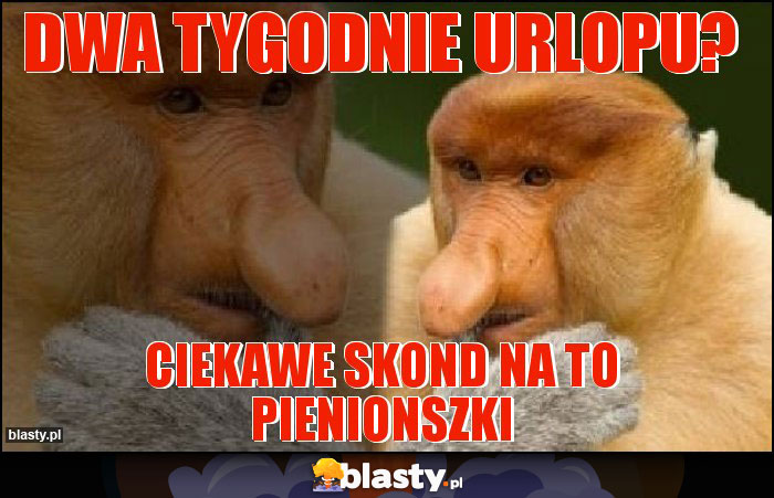 Dwa tygodnie urlopu?