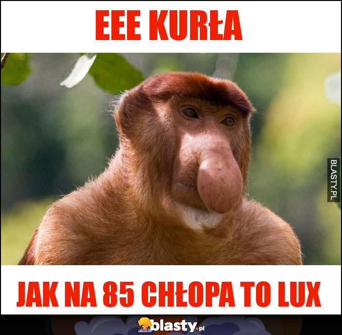 Eee kurła