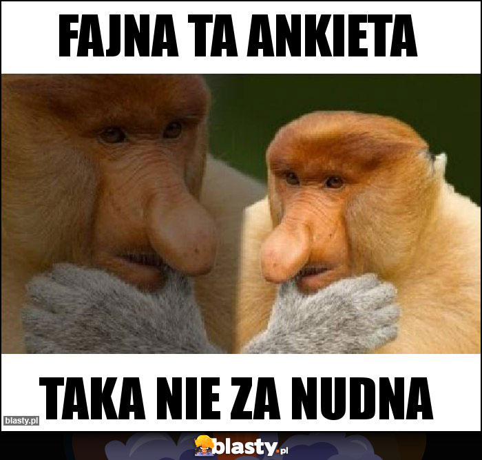 Fajna ta ankieta