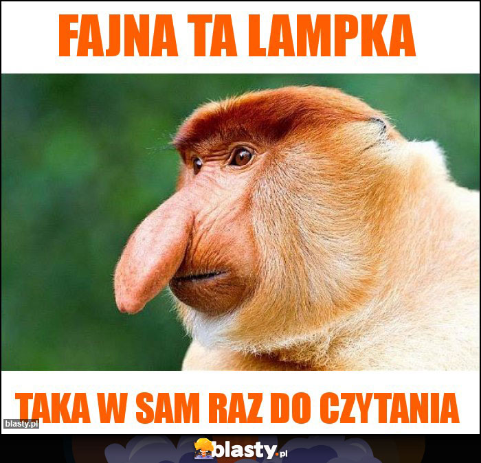 Fajna ta lampka