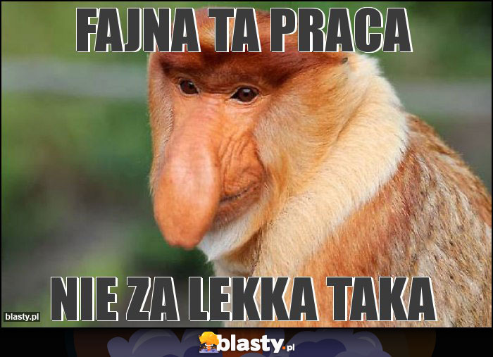 Fajna ta praca